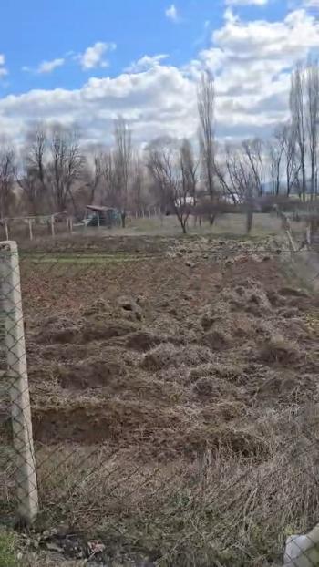 Güvenay - Çorum Eski Osmancık Yolu Üzeri Satılık 4,5 Dönüm Bahçe