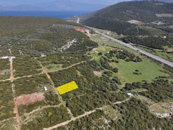 Didim Bozseki Satılık Arsa - Müstakil Parsel Villa Yeri | Ege Emlak Didim