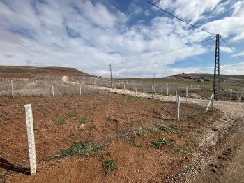 GÜVENAY - ÇORUM MERKEZ SOĞUKSU KÖYÜ MEVKİ 500 M2 SATILIK HOBİ BAHÇESİ 