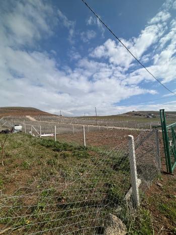 GÜVENAY - ÇORUM MERKEZ SOĞUKSU KÖYÜ MEVKİ 500 M2 SATILIK HOBİ BAHÇESİ 