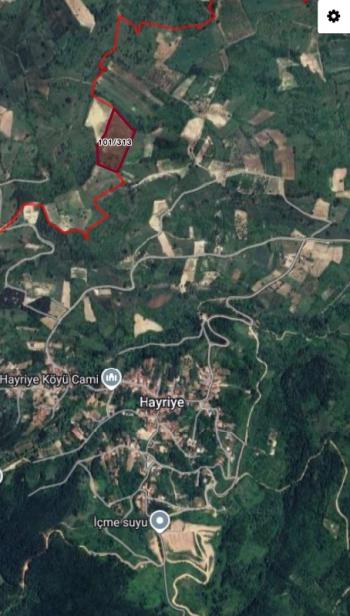 DijitalEmlak'tan Bursa İnegöl Hayriye Köyünde 25.400 m2 Satılık Elma Bahçesi