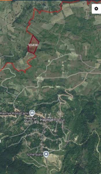 DijitalEmlak'tan Bursa İnegöl Hayriye Köyünde 25.400 m2 Satılık Elma Bahçesi