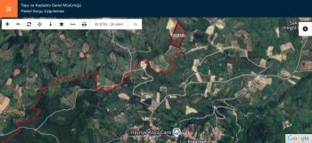 DijitalEmlak'tan Bursa İnegöl Hayriye Köyünde 25.400 m2 Satılık Elma Bahçesi