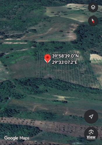 DijitalEmlak'tan Bursa İnegöl Hayriye Köyünde 25.400 m2 Satılık Elma Bahçesi