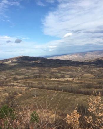 DijitalEmlak'tan Bursa İnegöl Hayriye Köyünde 25.400 m2 Satılık Elma Bahçesi