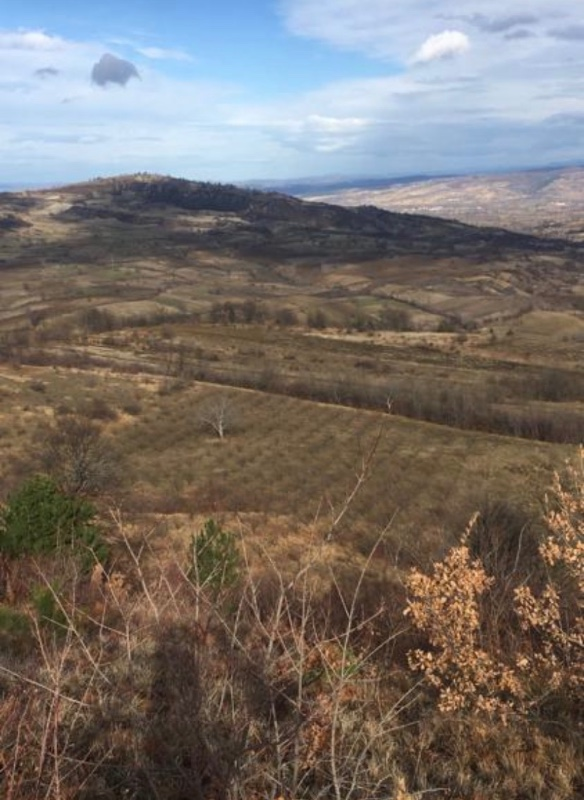 DijitalEmlak'tan Bursa İnegöl Hayriye Köyünde 25.400 m2 Satılık Elma Bahçesi