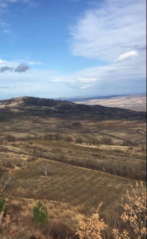 DijitalEmlak'tan Bursa İnegöl Hayriye Köyünde 25.400 m2 Satılık Elma Bahçesi