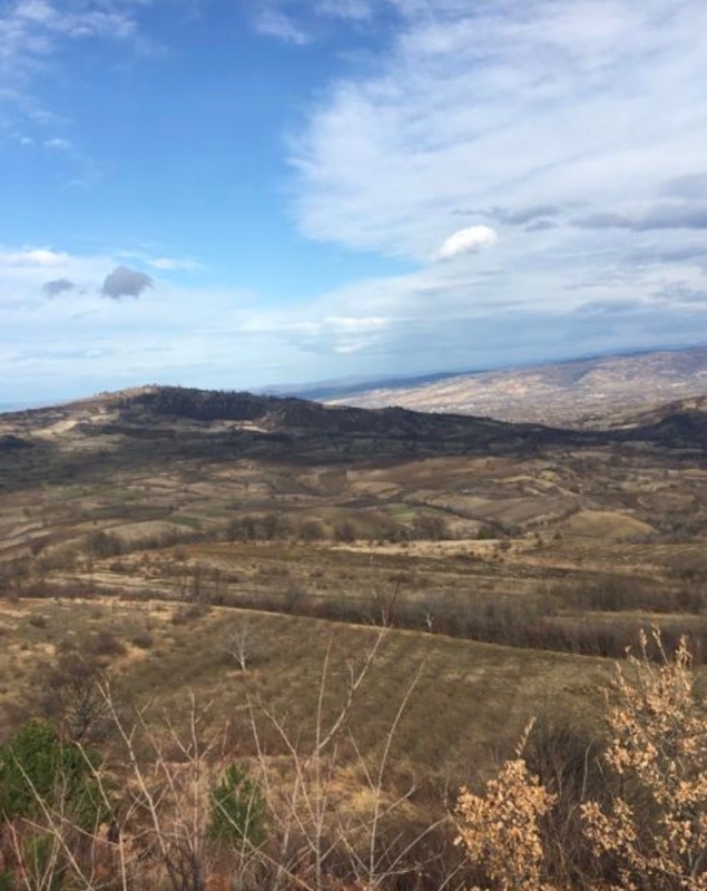 DijitalEmlak'tan Bursa İnegöl Hayriye Köyünde 25.400 m2 Satılık Elma Bahçesi