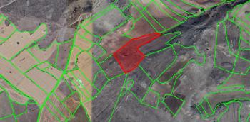 GÜVENAY - ÇORUM MECİTÖZÜ ELVANÇELEBİ ÇAMLIKTA 20 DÖNÜM  SATILIK TARLA 