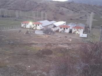 GÜVENAY - ÇORUM UĞURLUDAĞ YÜZGEÇ KÖY SATILIK BÜYÜK BAŞ HAYVAN ÇİFTLİĞİ
