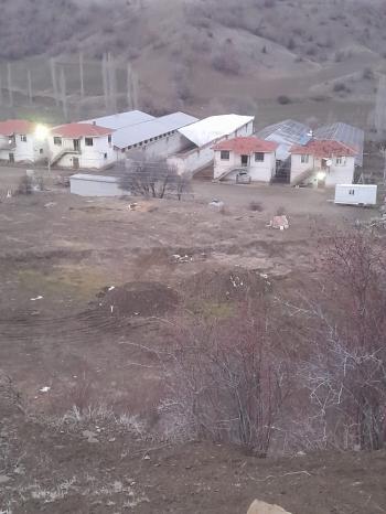 GÜVENAY - ÇORUM UĞURLUDAĞ YÜZGEÇ KÖY SATILIK BÜYÜK BAŞ HAYVAN ÇİFTLİĞİ