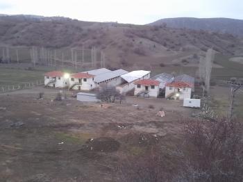 GÜVENAY - ÇORUM UĞURLUDAĞ YÜZGEÇ KÖY SATILIK BÜYÜK BAŞ HAYVAN ÇİFTLİĞİ