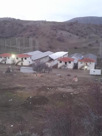 GÜVENAY - ÇORUM UĞURLUDAĞ YÜZGEÇ KÖY SATILIK BÜYÜK BAŞ HAYVAN ÇİFTLİĞİ