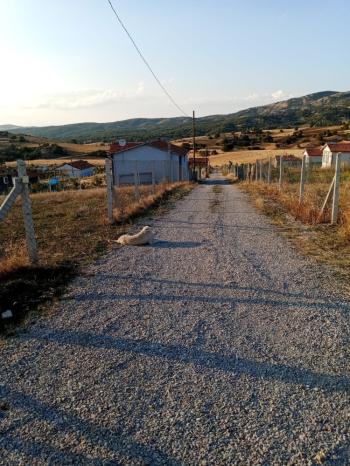 GÜVENAY -  ÇORUM YAKUPARPA KÖYÜ YATIRIMLIK VE HOBİ BAHÇESİNE UYGUN PARSEL