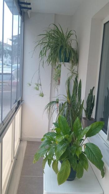 MUDANYA ÖMERBEY'DE BUDO'YA YAKIN YATIRIMLIK GİRİŞ KAT 2+1 DAİRE