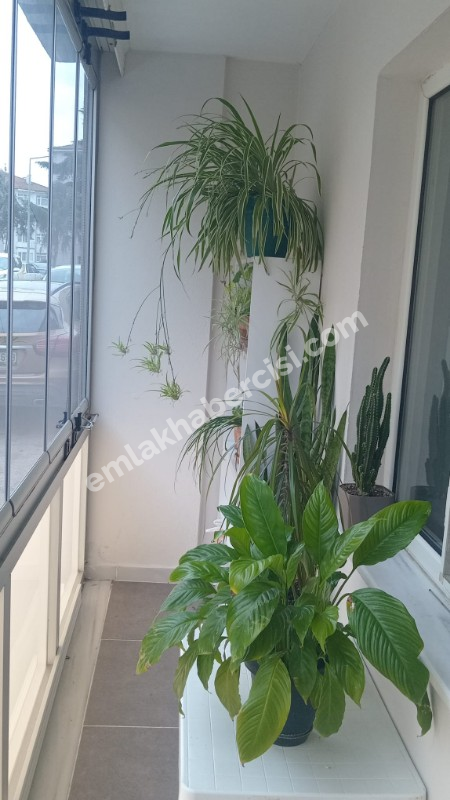 MUDANYA ÖMERBEY'DE BUDO'YA YAKIN YATIRIMLIK GİRİŞ KAT 2+1 DAİRE