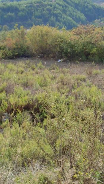 ALANYA MAHMUTLAR’DA SATILIK VİLLA ARSASI