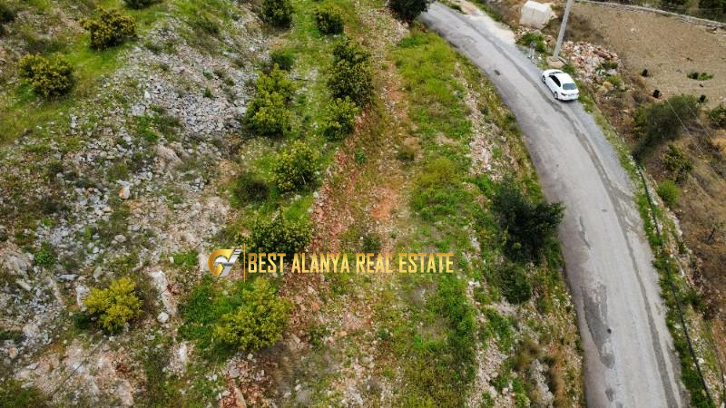 ALANYA ÖZVADİ KÖYÜ’NDE SATILIK TARLA