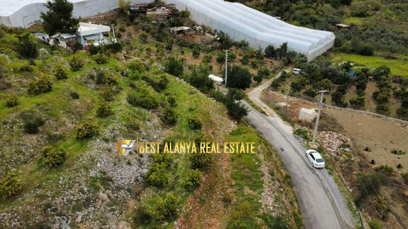 ALANYA ÖZVADİ KÖYÜ’NDE SATILIK TARLA