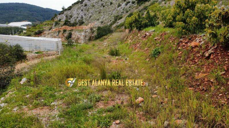 ALANYA ÖZVADİ KÖYÜ’NDE SATILIK TARLA