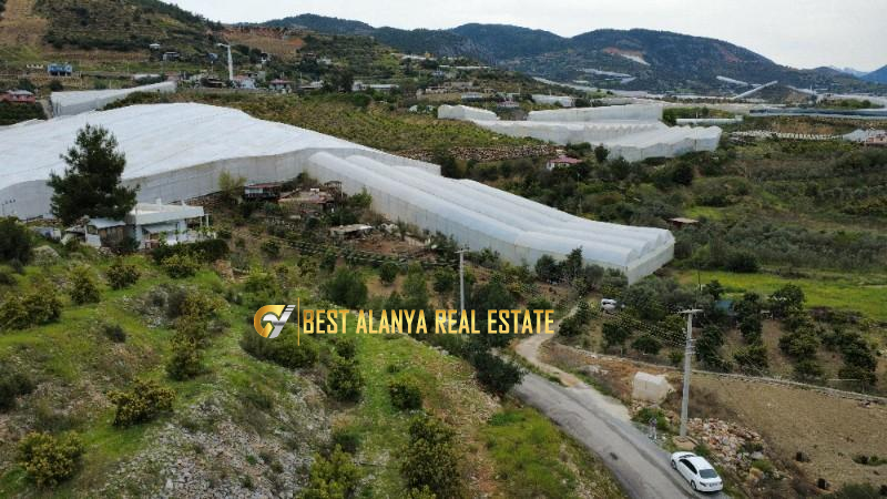 ALANYA ÖZVADİ KÖYÜ’NDE SATILIK TARLA