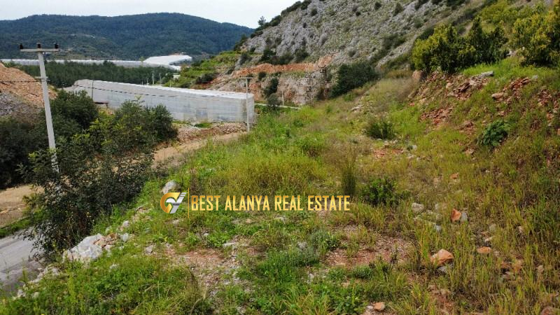 ALANYA ÖZVADİ KÖYÜ’NDE SATILIK TARLA