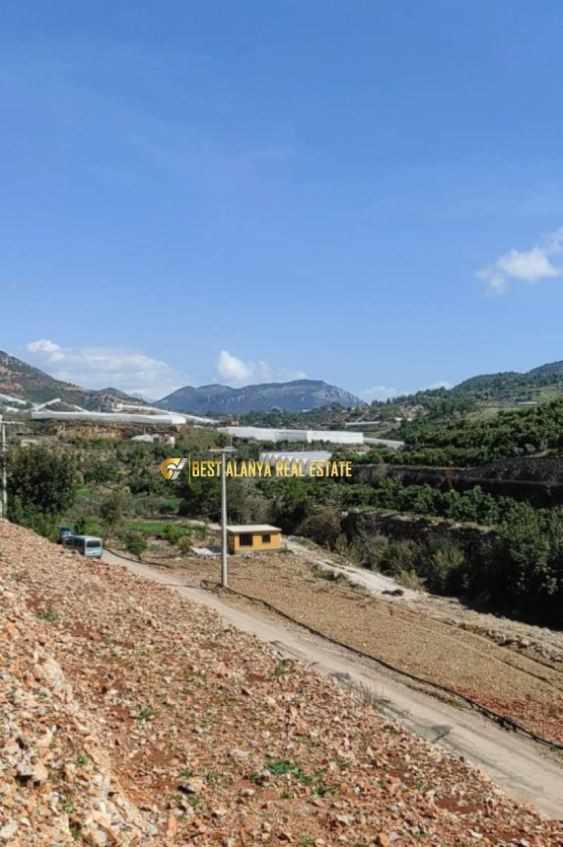 ALANYA ÖZVADİ KÖYÜ’NDE SATILIK TARLA