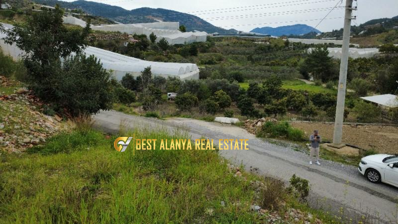 ALANYA ÖZVADİ KÖYÜ’NDE SATILIK TARLA
