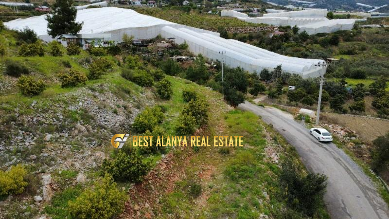 ALANYA ÖZVADİ KÖYÜ’NDE SATILIK TARLA