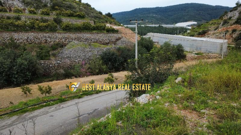 ALANYA ÖZVADİ KÖYÜ’NDE SATILIK TARLA