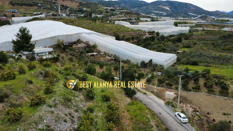 ALANYA ÖZVADİ KÖYÜ’NDE SATILIK TARLA