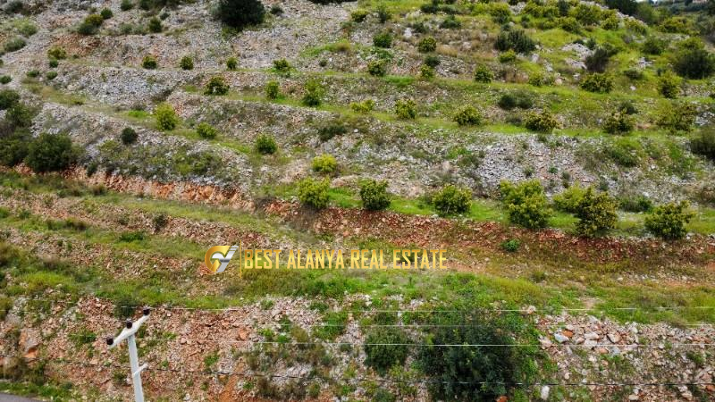 ALANYA ÖZVADİ KÖYÜ’NDE SATILIK TARLA