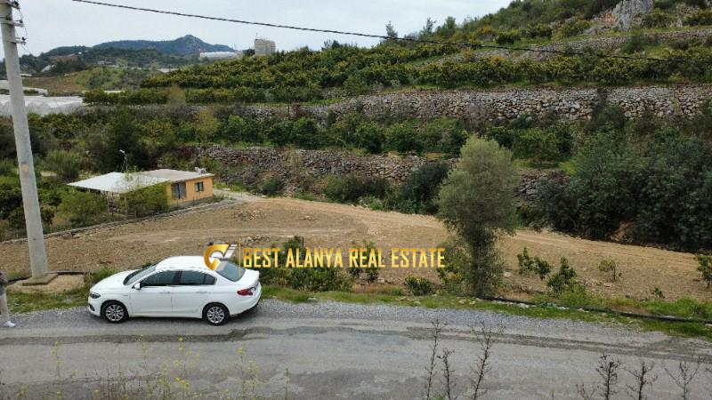 ALANYA ÖZVADİ KÖYÜ’NDE SATILIK TARLA