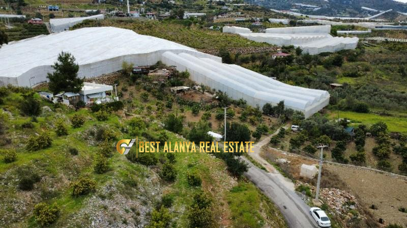 ALANYA ÖZVADİ KÖYÜ’NDE SATILIK TARLA