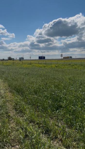 Lefkoşa Ercan Yolu Üzerinde Kiralık Arazi