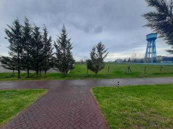 ULAŞTA PARK VE SOSYAL DONATILAR CEPHELİ KONUT İMARLI ARSA