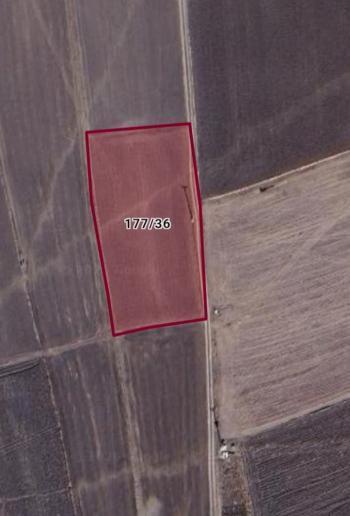 GÜVENAY- ÇORUM MERKEZ KARACA KÖYÜ 4.434 M2 SATILIK TARLA 