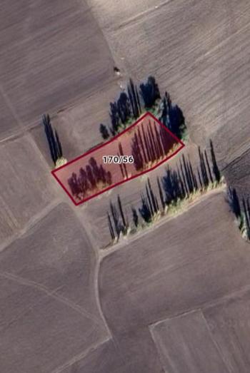 GÜVENAY - ÇORUM MERKEZ KARACA KÖYÜ 2.197 M2 SATILIK TARLA