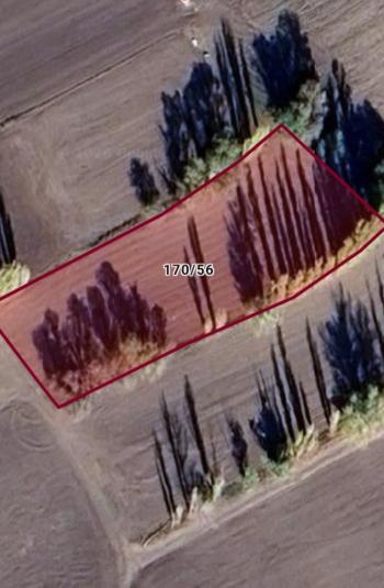 GÜVENAY - ÇORUM MERKEZ KARACA KÖYÜ 2.197 M2 SATILIK TARLA