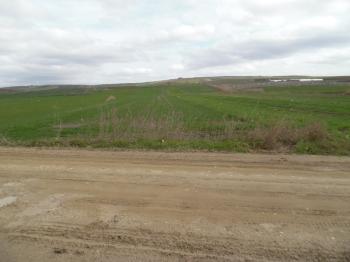 DEĞİRMENKÖYDE YATIRIMLIK 5700 M2 TARLA