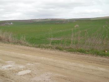DEĞİRMENKÖYDE YATIRIMLIK 5700 M2 TARLA