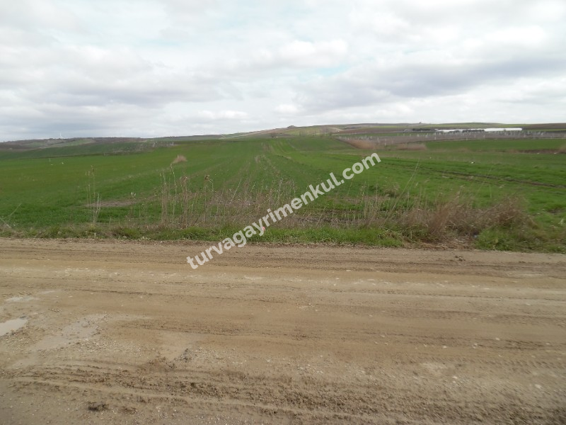 DEĞİRMENKÖYDE YATIRIMLIK 5700 M2 TARLA