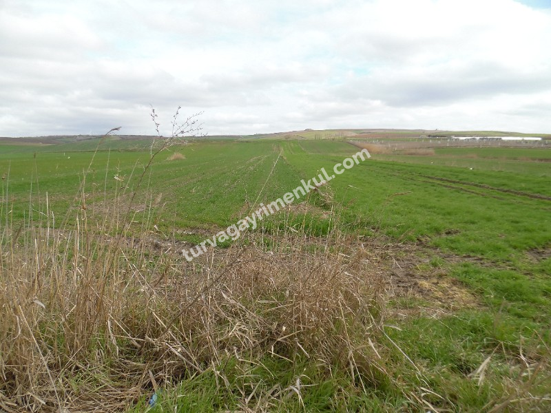 DEĞİRMENKÖYDE YATIRIMLIK 5700 M2 TARLA