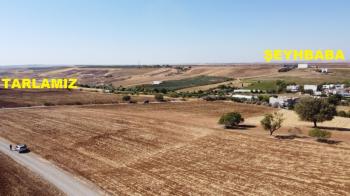 YILMAZ EMLAK'TAN KAHTA ŞEYHBABA KÖYÜNDE SATILIK 31.425 m² TARLA