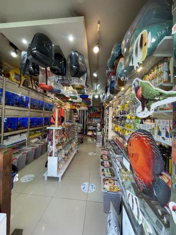 Güvenay - Çorum Albayrak Caddesi Üzeri Devren Petshop Dükkanı