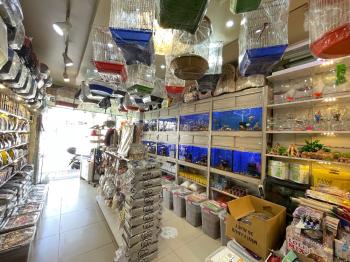 Güvenay - Çorum Albayrak Caddesi Üzeri Devren Petshop Dükkanı
