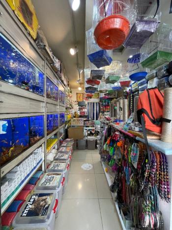 Güvenay - Çorum Albayrak Caddesi Üzeri Devren Petshop Dükkanı