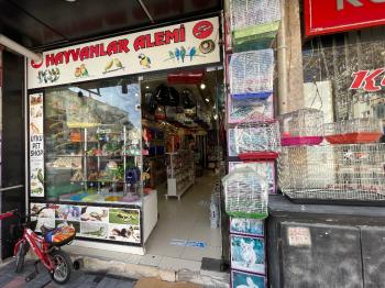 Güvenay - Çorum Albayrak Caddesi Üzeri Devren Petshop Dükkanı
