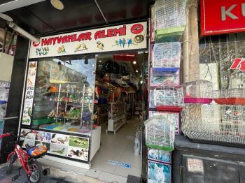 Güvenay - Çorum Albayrak Caddesi Üzeri Devren Petshop Dükkanı