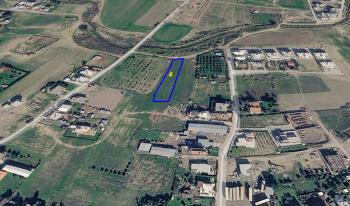 LEFKOŞA ALAYKÖY'DE SATILIK TARLA